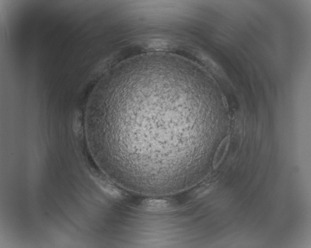 X0000071940361200607141439
