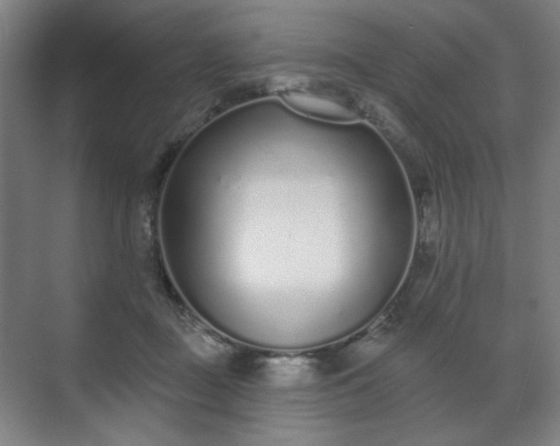 X0000071940363200607141439