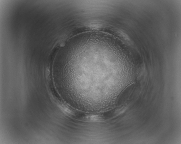 X0000071940365200607141439