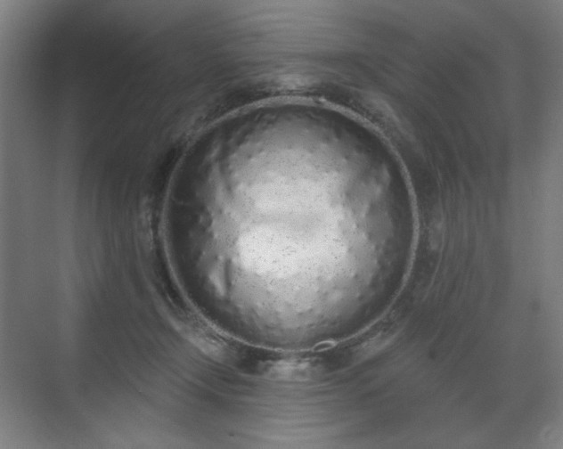 X0000071940366200607141439