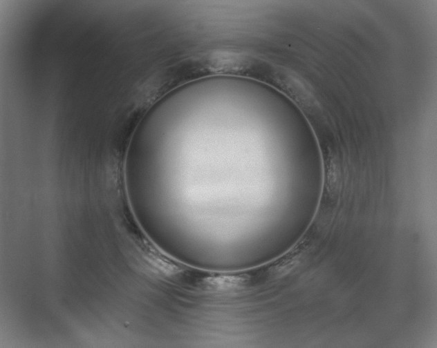 X0000071940367200607141439