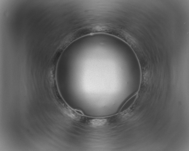 X0000071940373200607141439