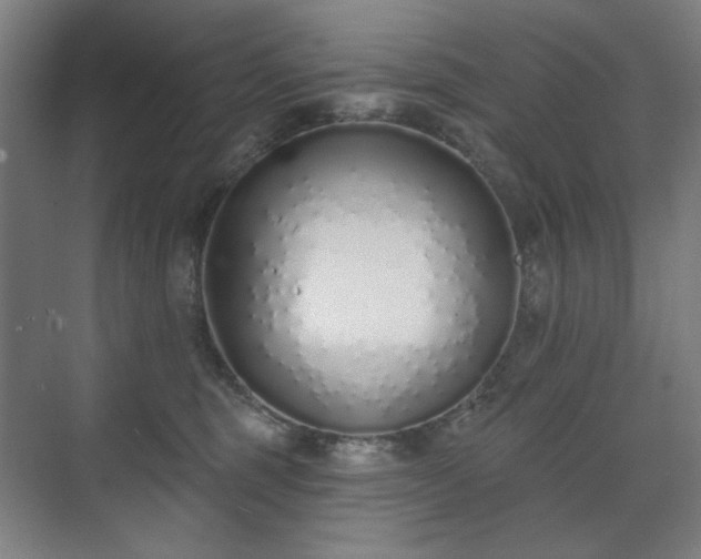 X0000071940375200607141439