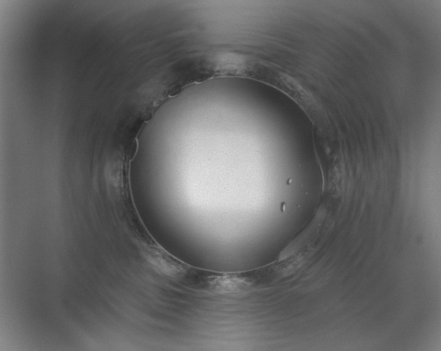 X0000071940379200607141439