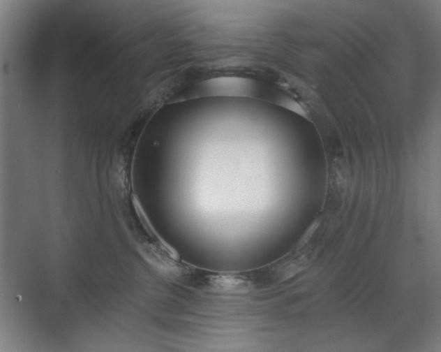 X0000071940380200607141439