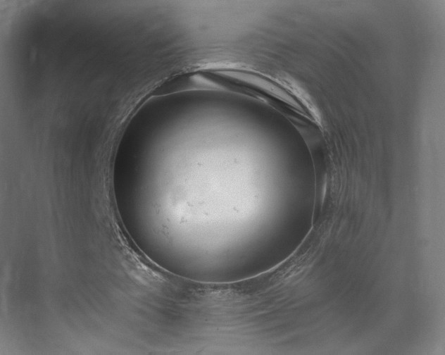 X0000071940385200607141438