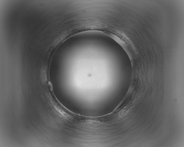 X0000071940393200607141438