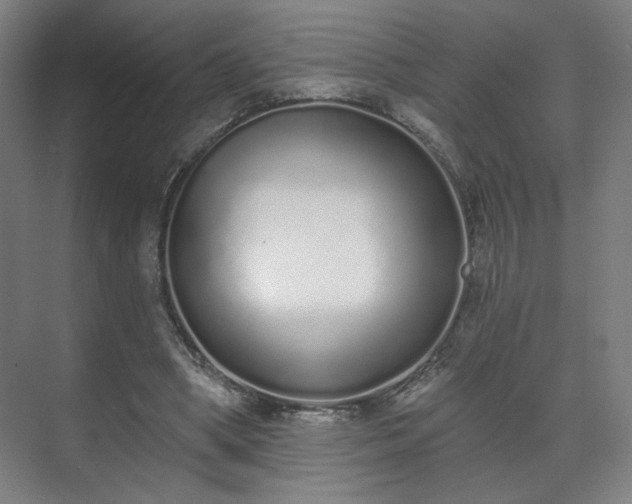 X0000071940394200607141438