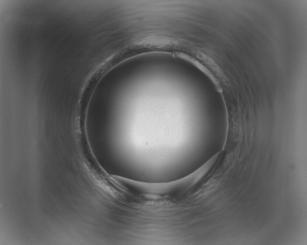 X0000071940399200607141438