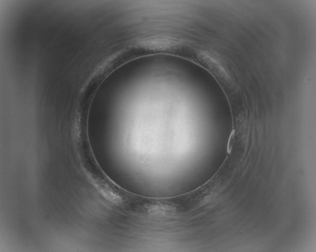 X0000071940400200607141438