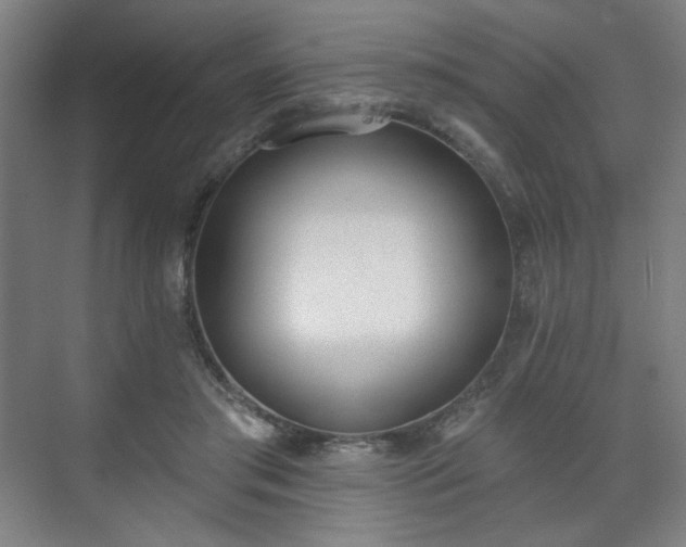 X0000071940405200607141438