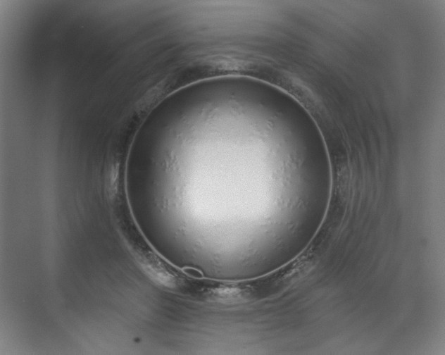 X0000071940406200607141438