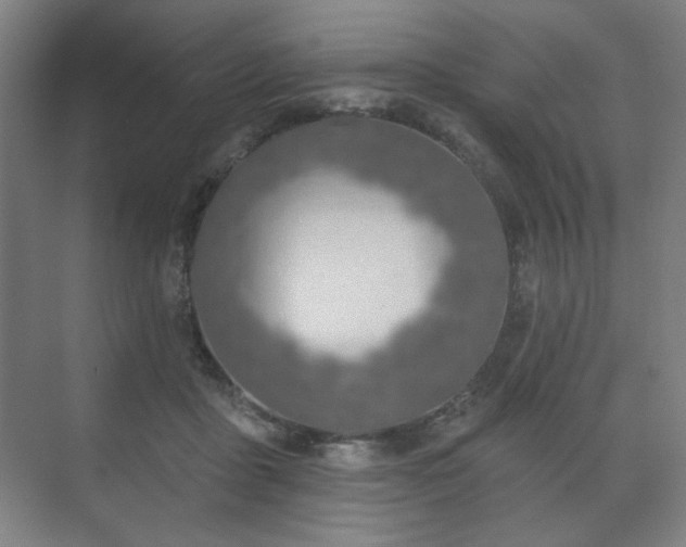 X0000071940411200607141438