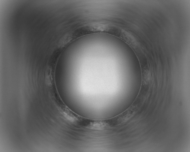 X0000071940414200607141438