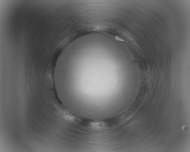X0000071940415200607141438