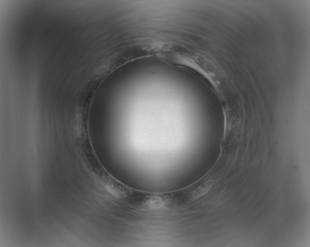 X0000071940416200607141438
