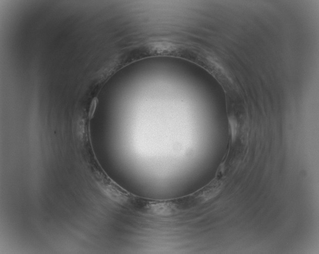 X0000071940417200607141438