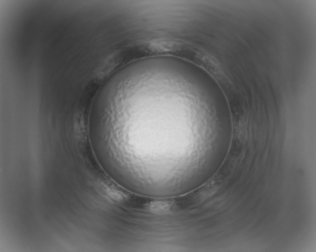 X0000071940418200607141438