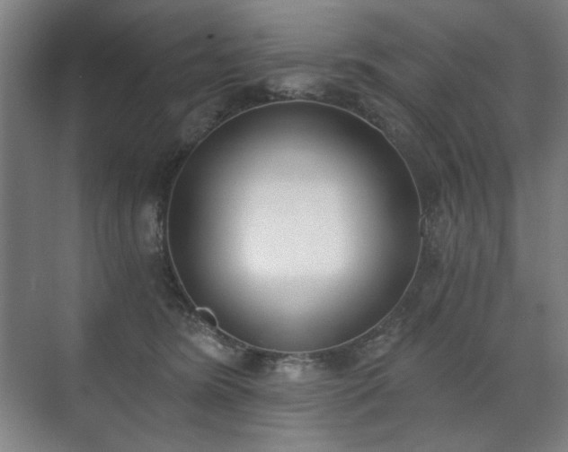 X0000071940420200607141438