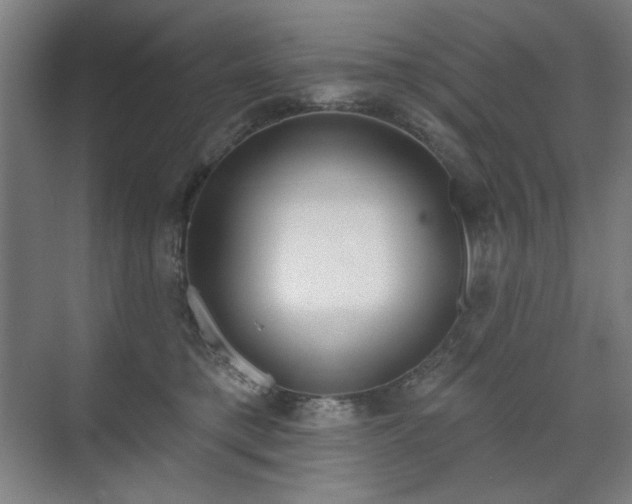 X0000071940421200607141438