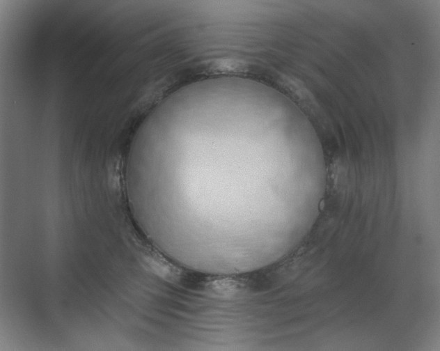 X0000071940423200607141438