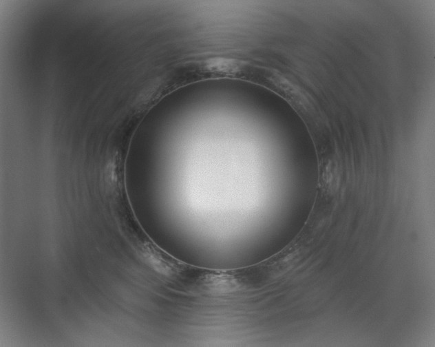 X0000071940424200607141438