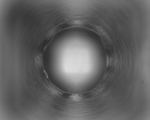 X0000071940425200607141438