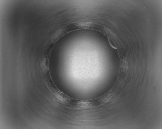 X0000071940428200607141438