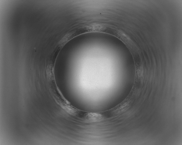 X0000071940429200607141438