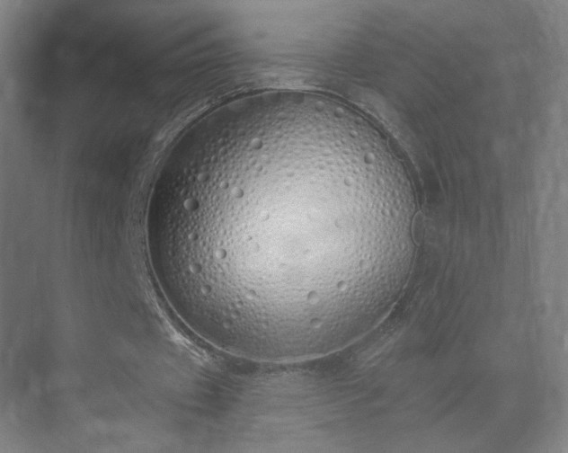 X0000071940433200607141437