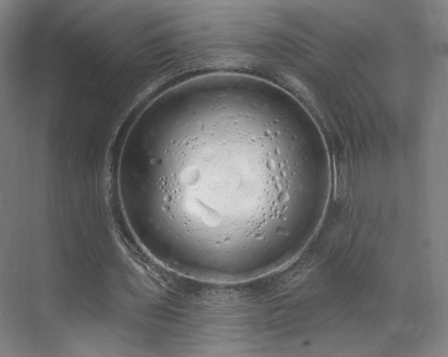 X0000071940435200607141437