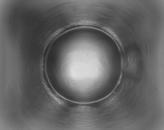 X0000071940437200607141437