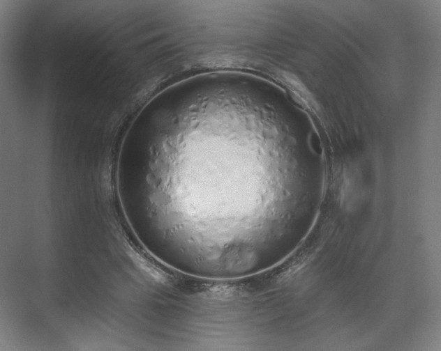 X0000071940441200607141437