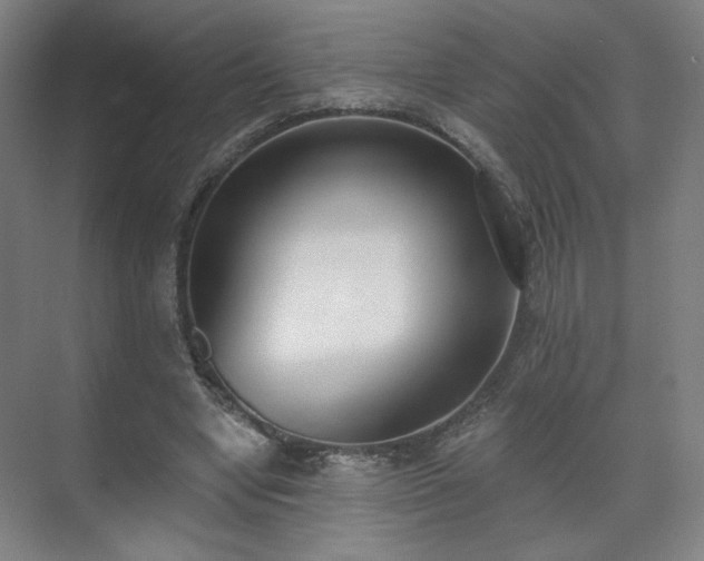 X0000071940442200607141437
