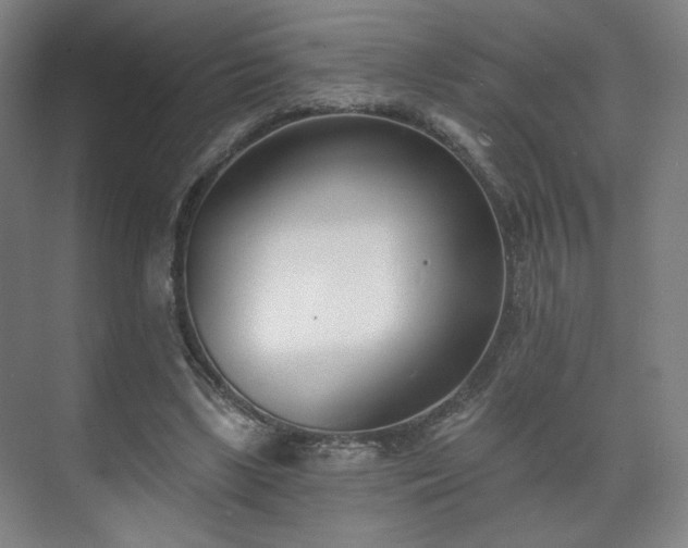 X0000071940443200607141437
