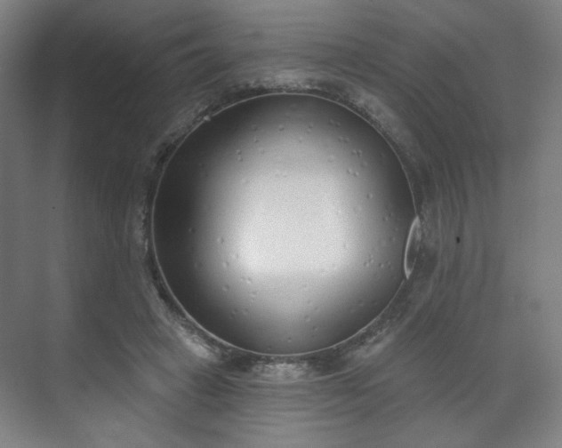 X0000071940449200607141437
