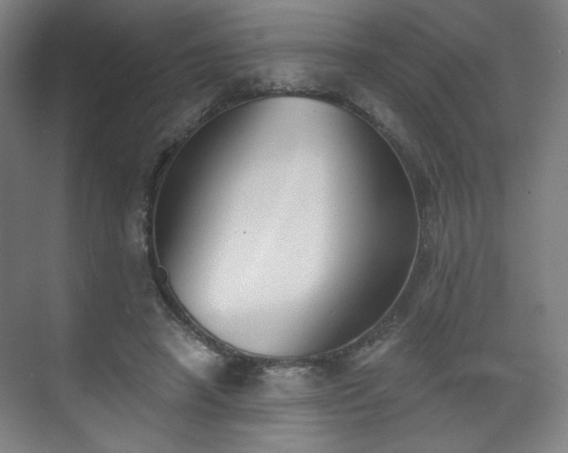 X0000071940450200607141437