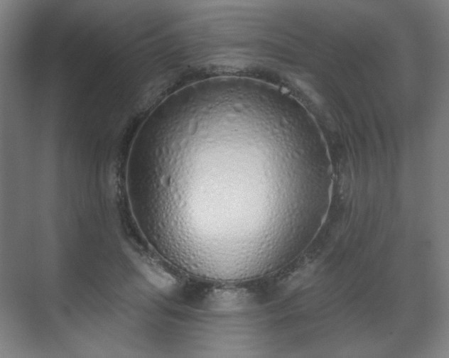 X0000071940455200607141437