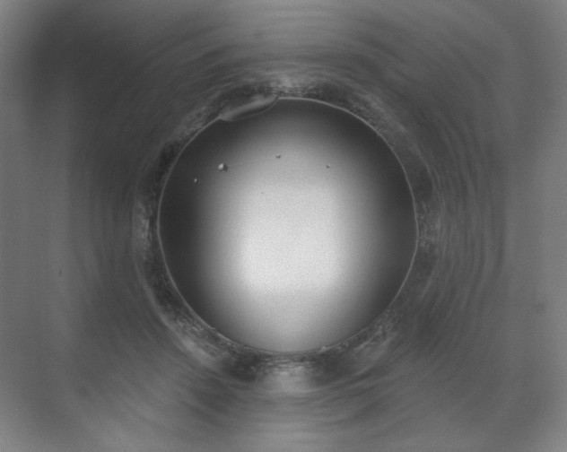 X0000071940456200607141437