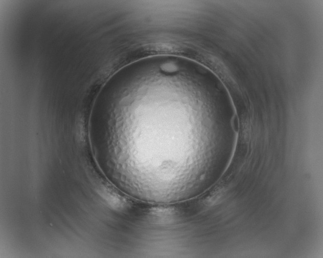 X0000071940457200607141437
