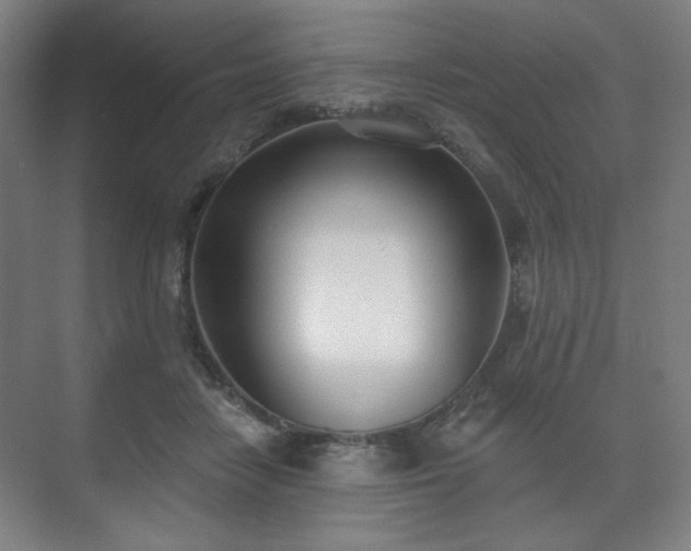 X0000071940458200607141437