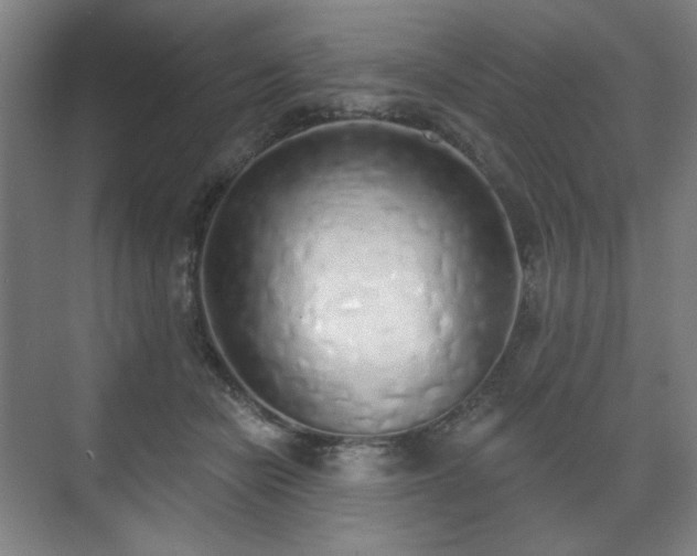 X0000071940462200607141437