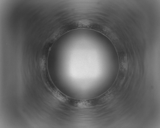 X0000071940468200607141437