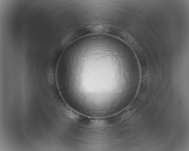 X0000071940469200607141437
