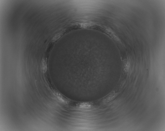 X0000071940471200607141437