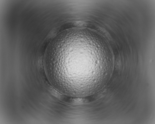 X0000071940473200607141438