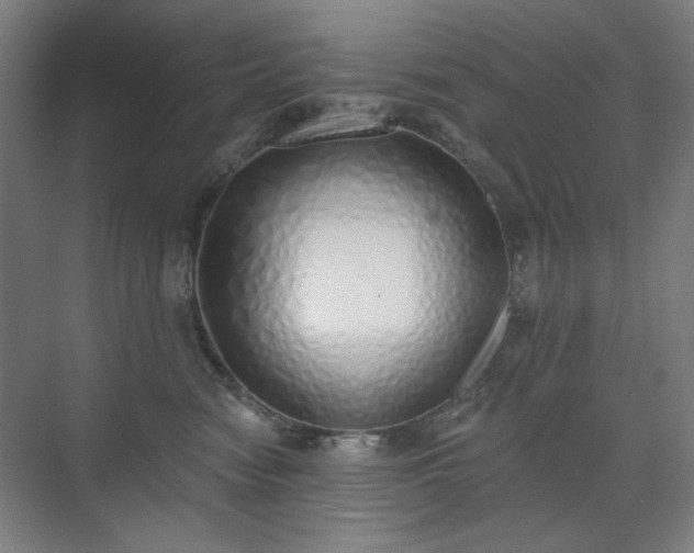 X0000071940474200607141438