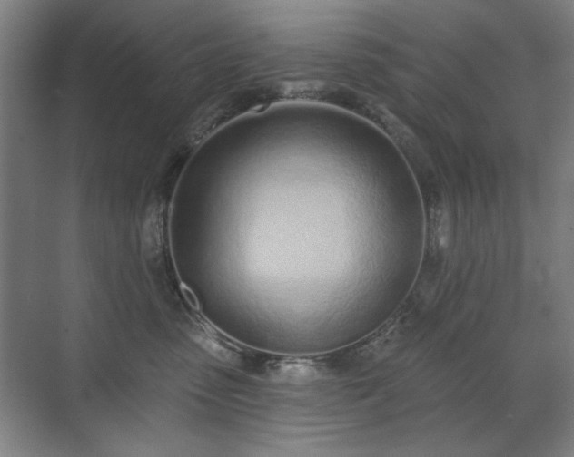 X0000071940475200607141438