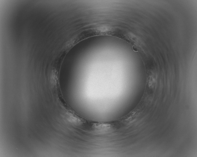 X0000071940476200607141438