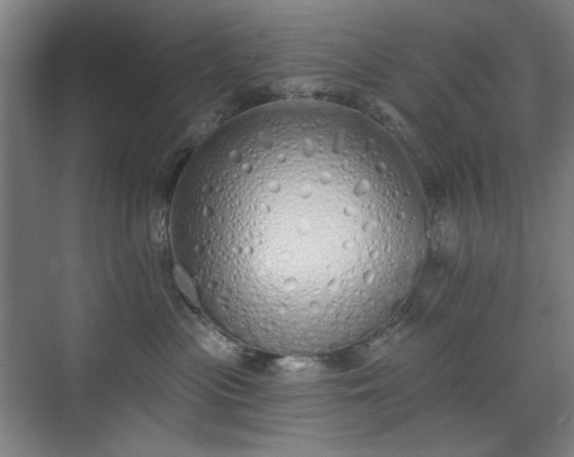 X0000071940477200607141438
